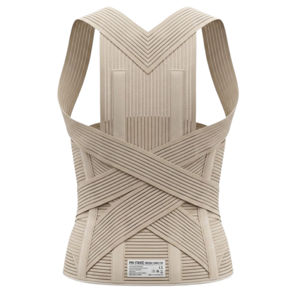 Point Corset Dorso-Lombaire Avec Ceinture Standard Reference 272